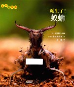 生命的故事  诞生了！蚁蛳