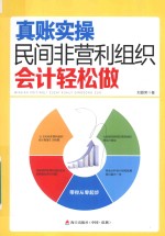 真账实操  民间非营利组织会计轻松做
