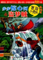 冒险小虎队  步步惊心河  盗梦贼  挺进版