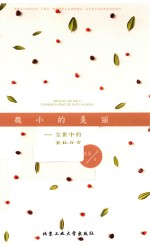 微小的美丽  尘世中的素朴欢喜