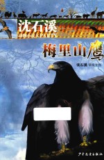 沈石溪动物小说大PARTY  梅里山鹰