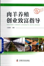 肉羊养殖创业致富指导