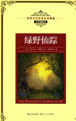 世界文学名著名译典藏  绿野仙踪  全译插图本