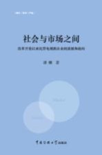 社会与市场之间  改革开放以来民营电视剧企业的演展和趋向