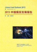 2013中国煤炭发展报告