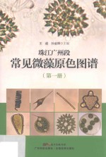 珠江广州江段常见微藻原色图谱  第1册
