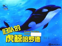 归队的虎鲸哈罗德