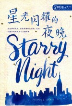 星光闪耀的夜晚