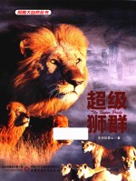 超级狮群