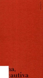 塞萨尔·艾拉作品系列  女俘爱玛