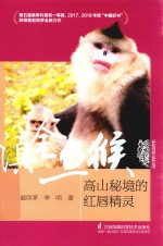 滇金丝猴  高山秘境的红唇精灵