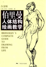 伯里曼人体结构绘画教学  白金版