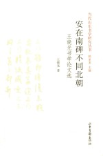 安在南碑不同北朝  王晓光书学论文选