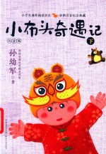 小布头奇遇记  下  注音版