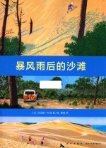 暴风雨后的沙滩