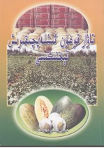 商品瓜的生产技术