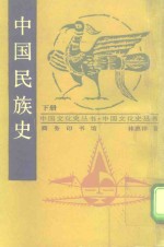 中国民族史  下