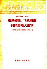 乘风破浪  飞跃前进向洼涝地大进军 封面