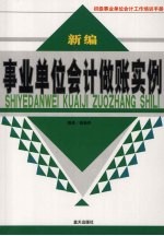 新编事业单位会计做帐实例