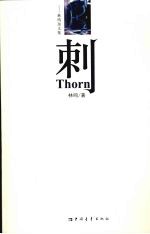 刺 电子书封面