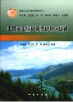 中国天山铜矿带找矿靶区优选