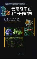 云南衰牢山种子植物