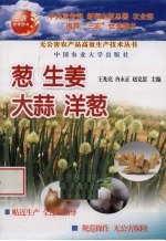 葱生姜大蒜洋葱