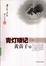 青灯琐记  下 电子书封面