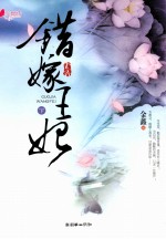 错嫁王妃  下 电子书封面