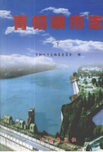 青铜峡市志  下