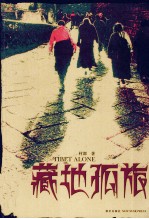 藏地孤旅  第2版 电子书封面