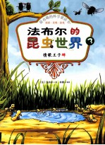 法布尔的昆虫世界  3  情歌王子蝉