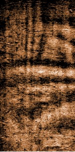 四书文选  钦定本朝四书文  1