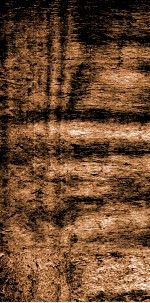 四书文选  钦定本朝四书文  2