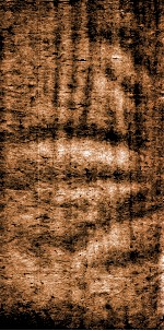 四书文选  钦定本朝四书文  3