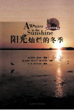阳光灿烂的冬季  英汉双语珍藏版
