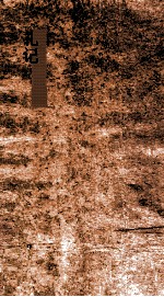 士丧弟  12  礼12-14