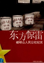 东方惊雷  嵖岈山卫星人民公社纪实