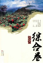 文化文山  综合卷