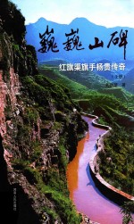 巍巍山碑  红旗渠旗手杨贵传奇  上