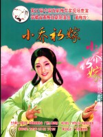 小乔初嫁  第27届中国戏剧梅花奖现场竞演  安徽省黄梅戏剧院演出  黄梅戏