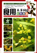 食用本草纲目彩色图鉴
