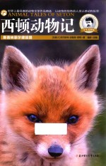 西顿动物记  斯普林菲尔德狐狸