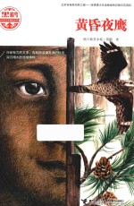 黑鹤动物文学精品系列  黄昏夜鹰