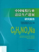 中国味精行业清洁生产进展研究报告