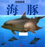 动物家族海豚