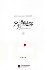 只为遇见你  上 电子书封面