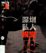 深圳私人视觉史  郑东升卷