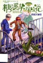 糖溪帮探险记勇闯芝加哥第一季