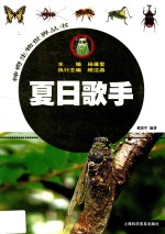 夏日歌手  昆虫军团大揭秘  3-9岁